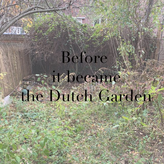 Dutch-garden