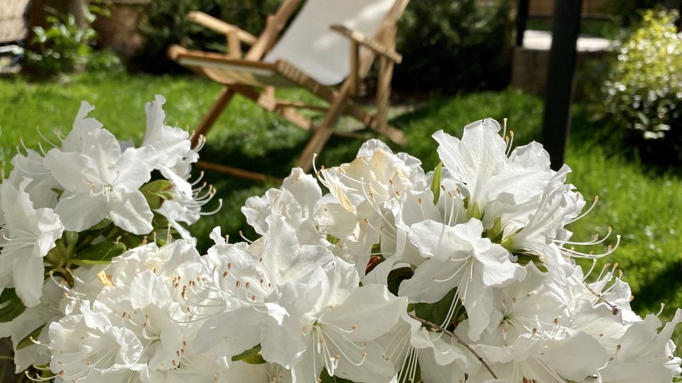A family garden